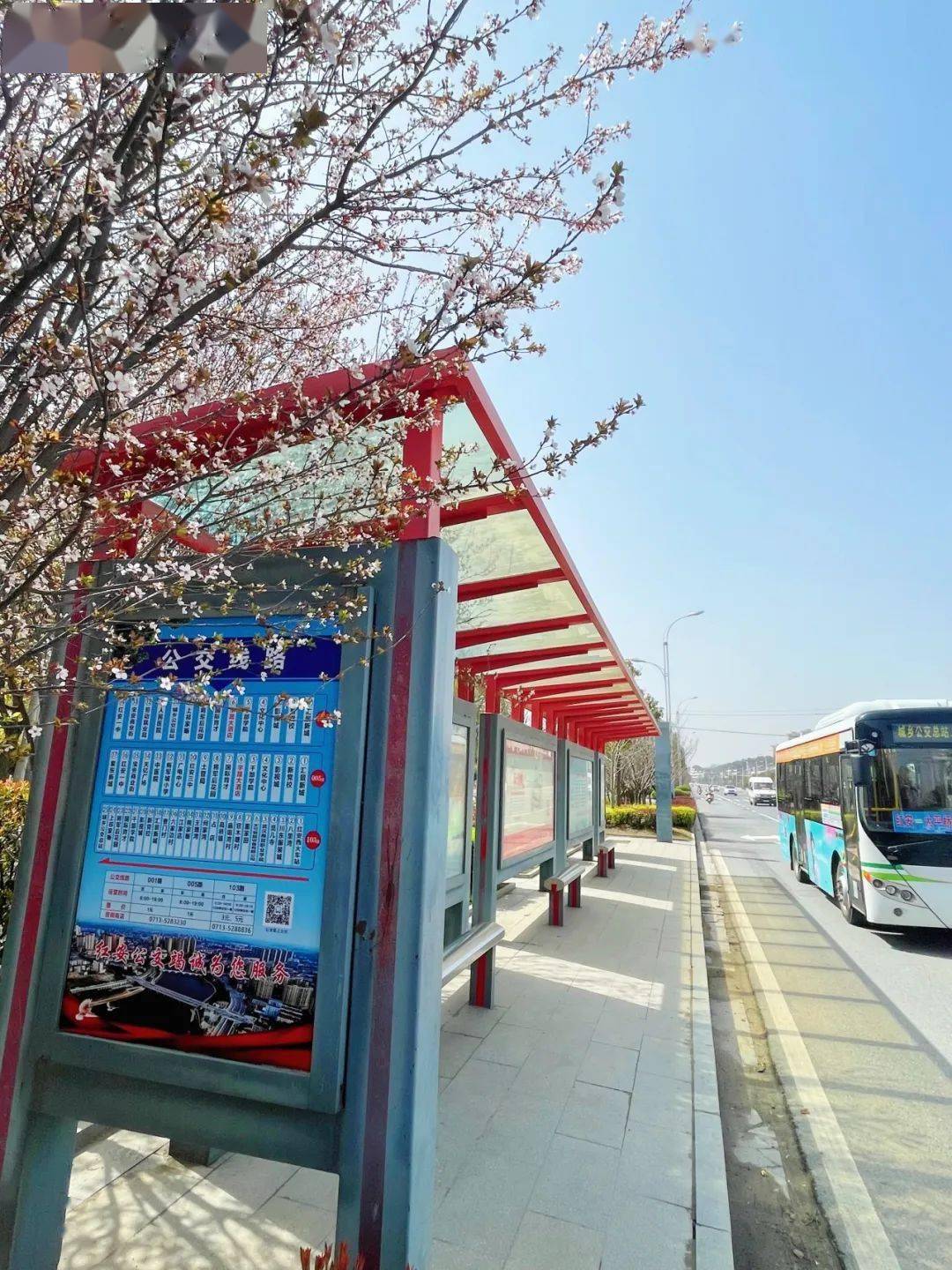 花枝包围宇晟大酒店站国际育才实验学校站位于红安大道的红安花事更浓