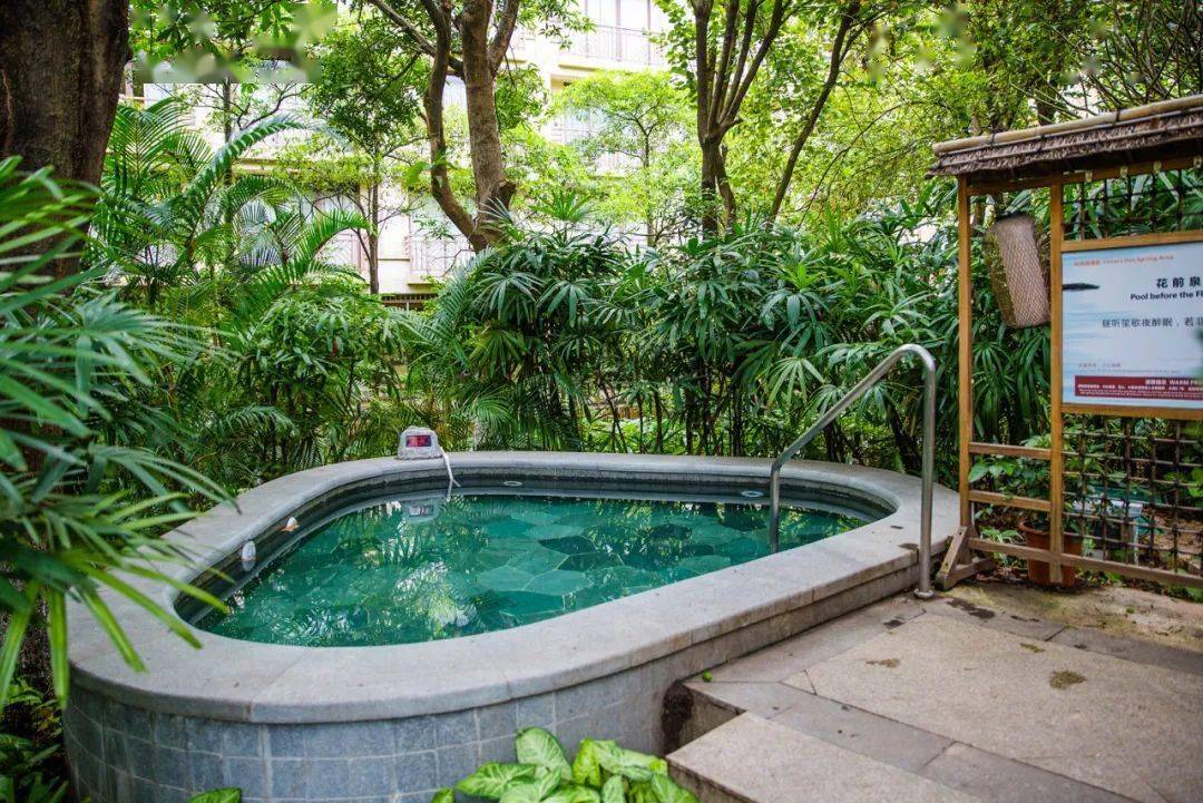 五星体验!日均06200 入住东莞丰泰花园酒店!