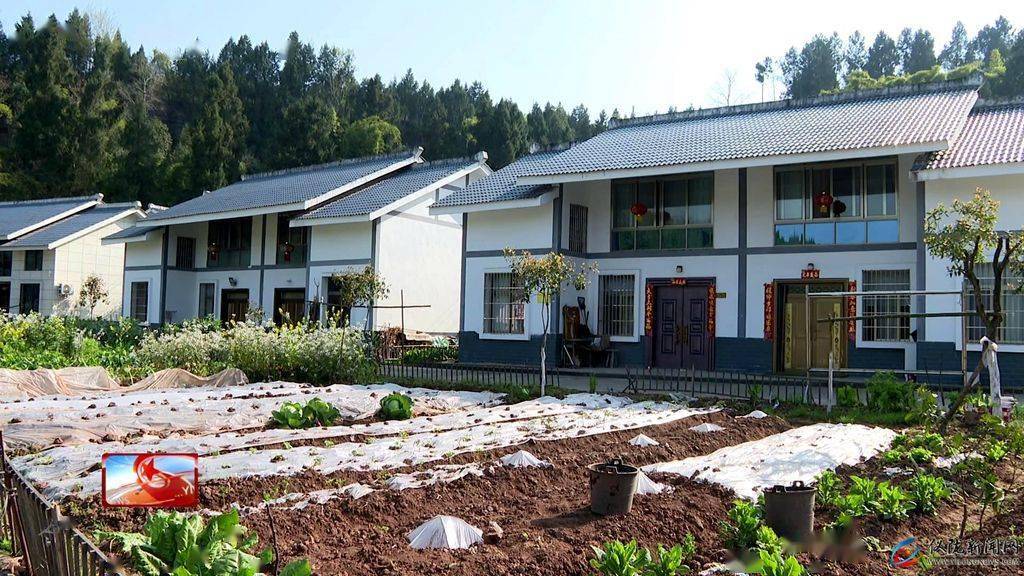 美丽乡村新风貌发展庭院经济助推乡村振兴