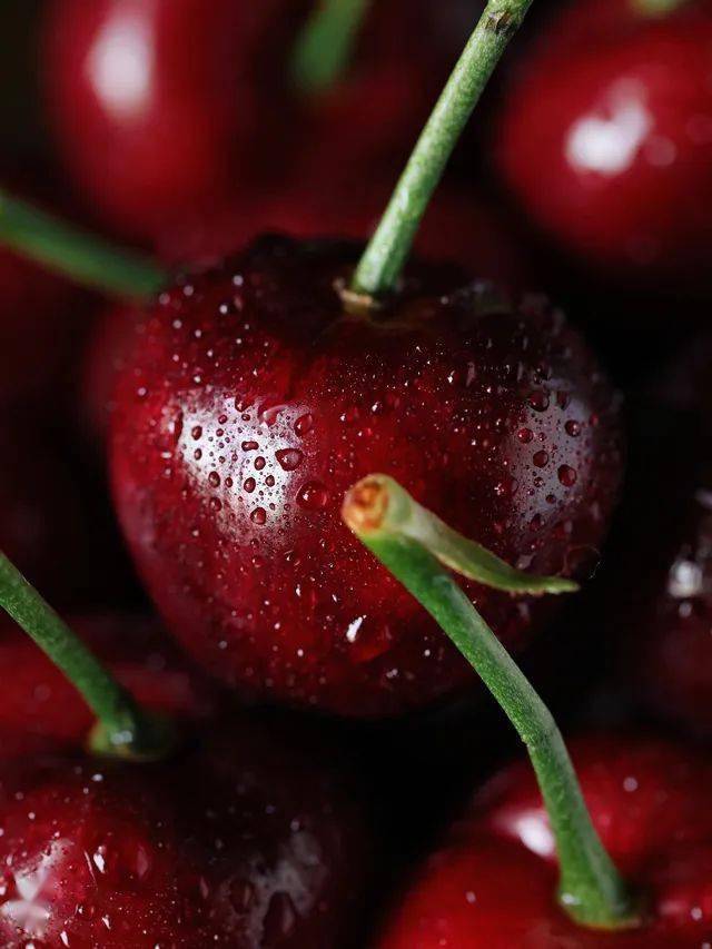 不输进口车厘子超大颗的大连美早樱桃一口爆浆鲜嫩脆甜