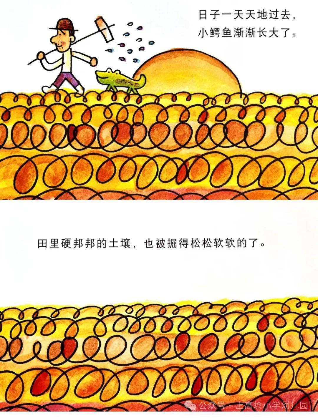 小耳朵61故事盒子爱吃青菜的鳄鱼