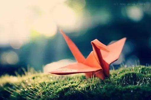 人生不必感慨想开便是晴天