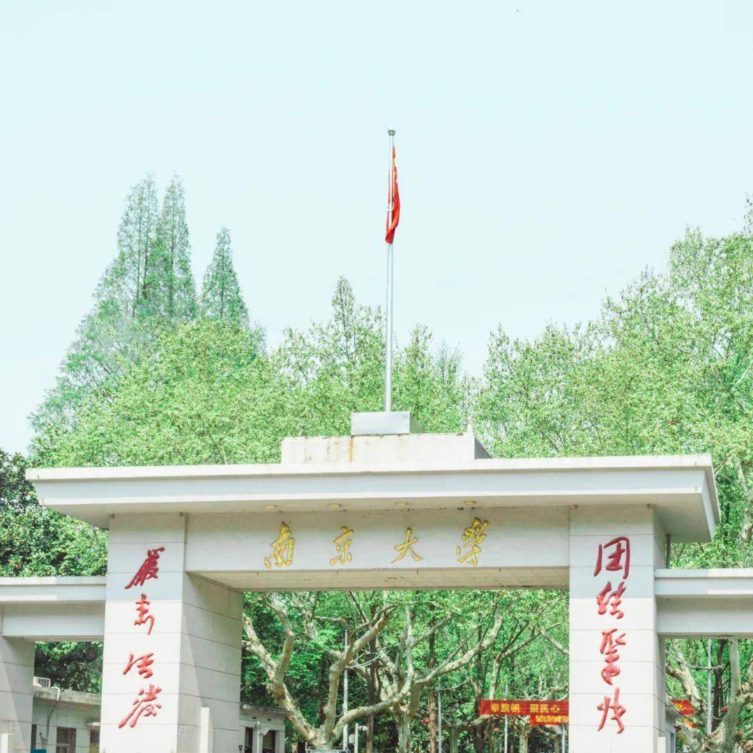 你为什么非要上那个南京大学啊