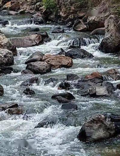 67签约作家首欣泔河印象