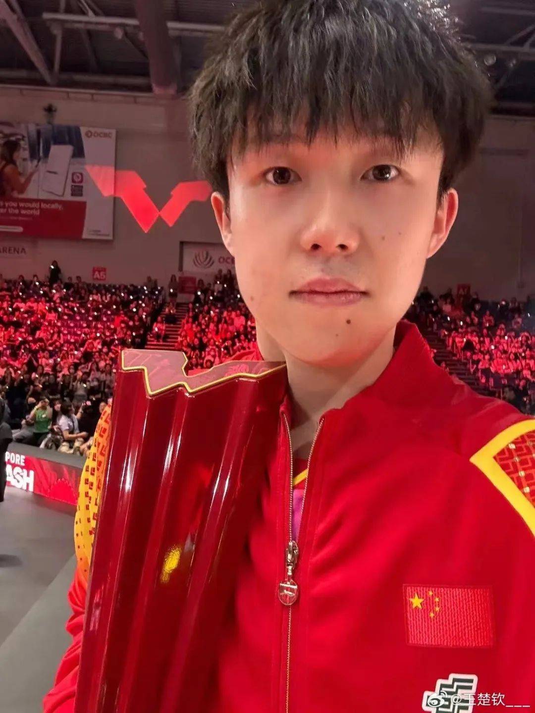 王楚钦突然宣布:退赛→_澳门_仁川_男子