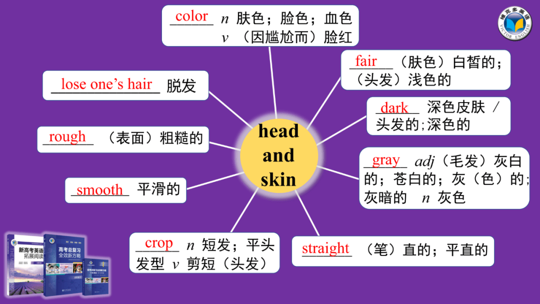 外貌特征图片