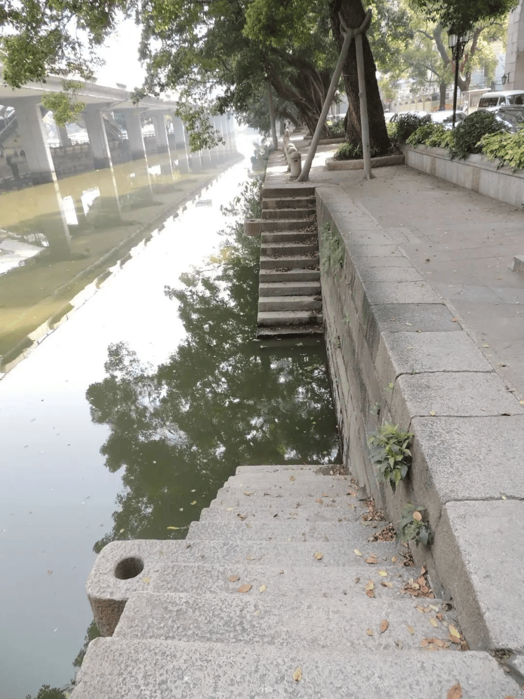 荔湾这些"靓"点项目,你打卡过哪些?_荔枝_龙舟_一带