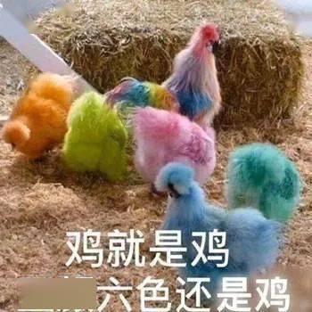 超变态表情包:老公,小小的也很可爱啊!