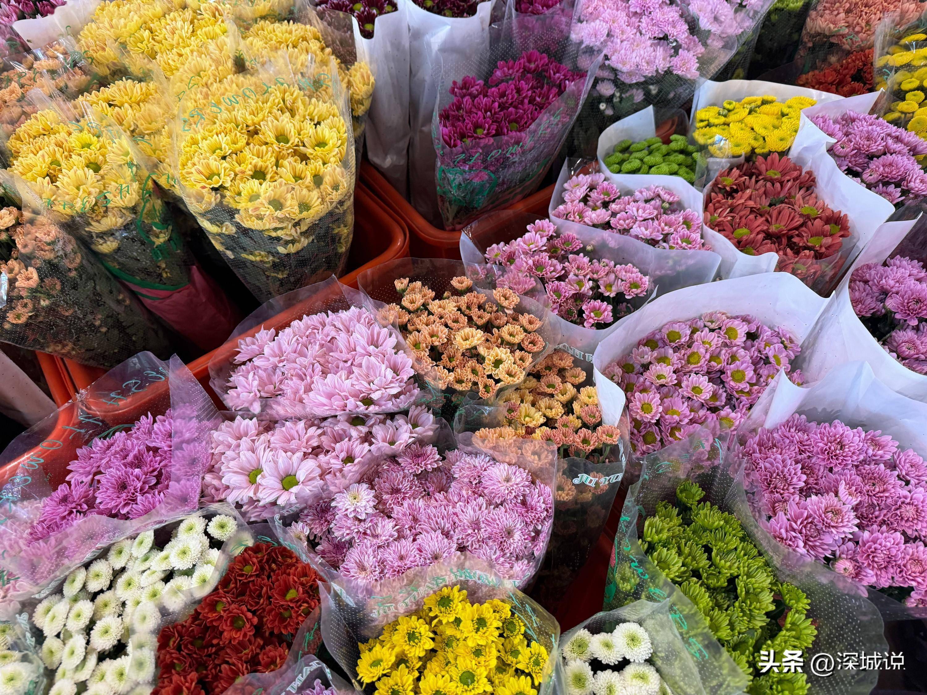 探访广州岭南花卉市场,老字号鲜花批发市场,价格是真的很划算