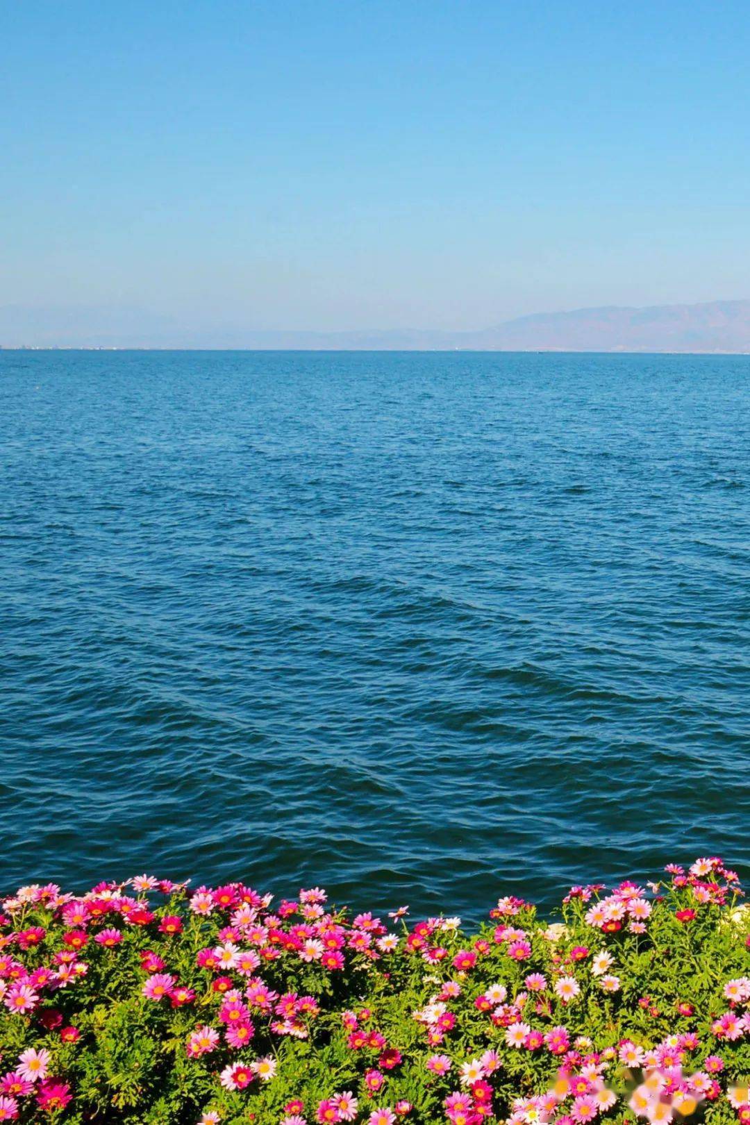 世界水日今天的朋友圈有点水