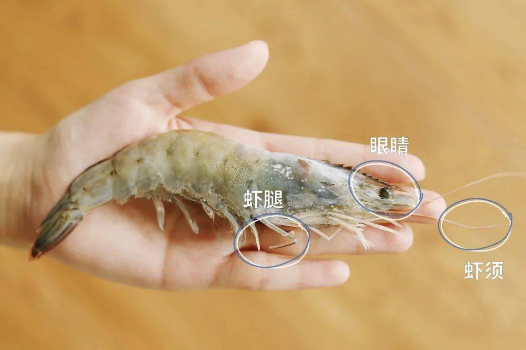 肉质鲜甜 q 弹个大壳薄,老少皆宜—贝司令这款南美白虾,是原箱进口的