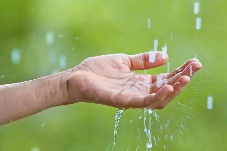 youareanoodle可不是说你是面条