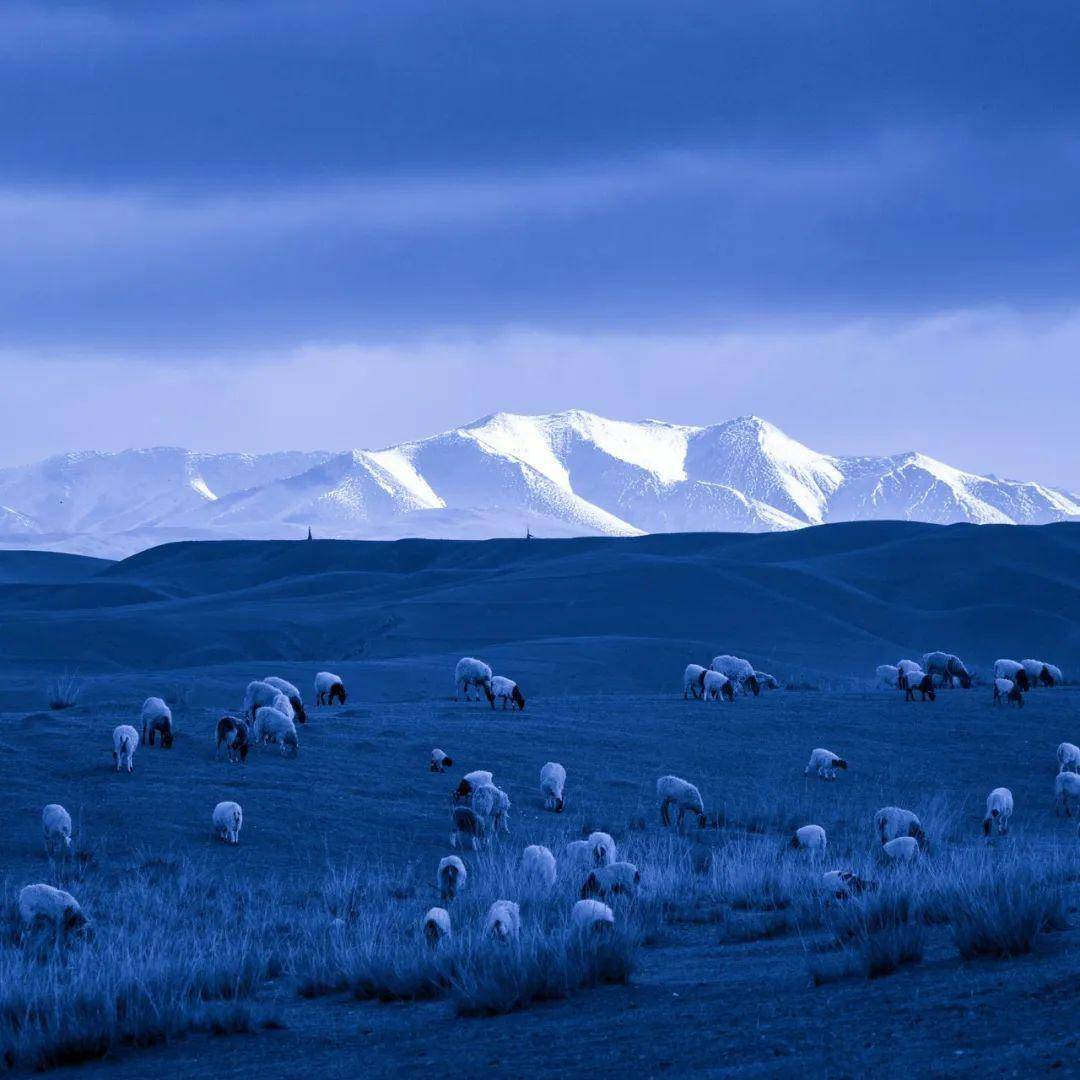 甘肃西南角黄河长江为何都宠她