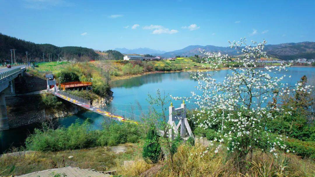 龙湖湿地公园春开梅朵三千树惊艳时人一路香河畔游园里的梅花也正