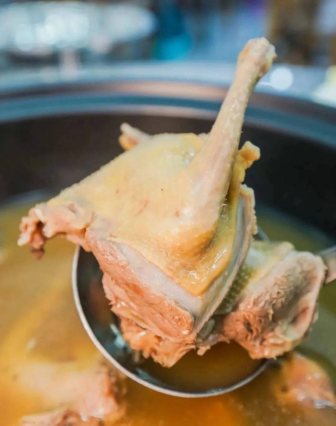 跟着赛事出游用脚步丈量五桂山的春天