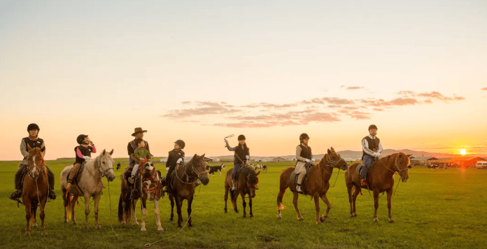 在北纬50上寻找牧草王国从黑山头一路狂飙到边境满洲