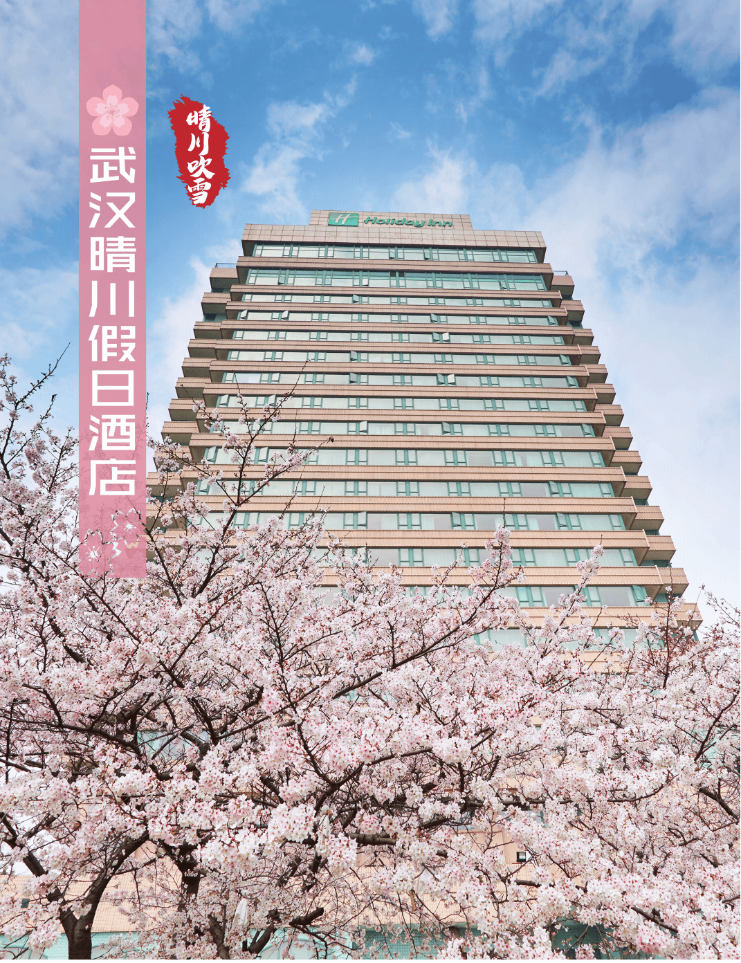 武汉晴川假日酒店03"看樱花,到武大".