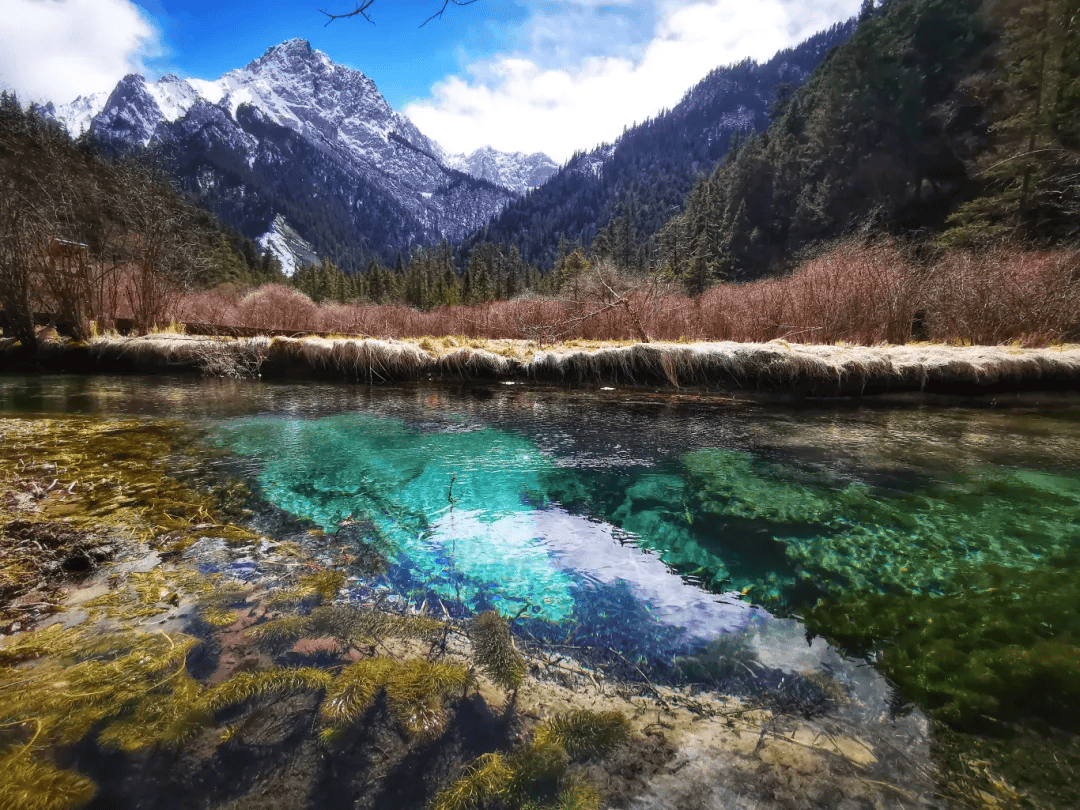 全域旅游三月春风起九寨沟洒落浮光碎影