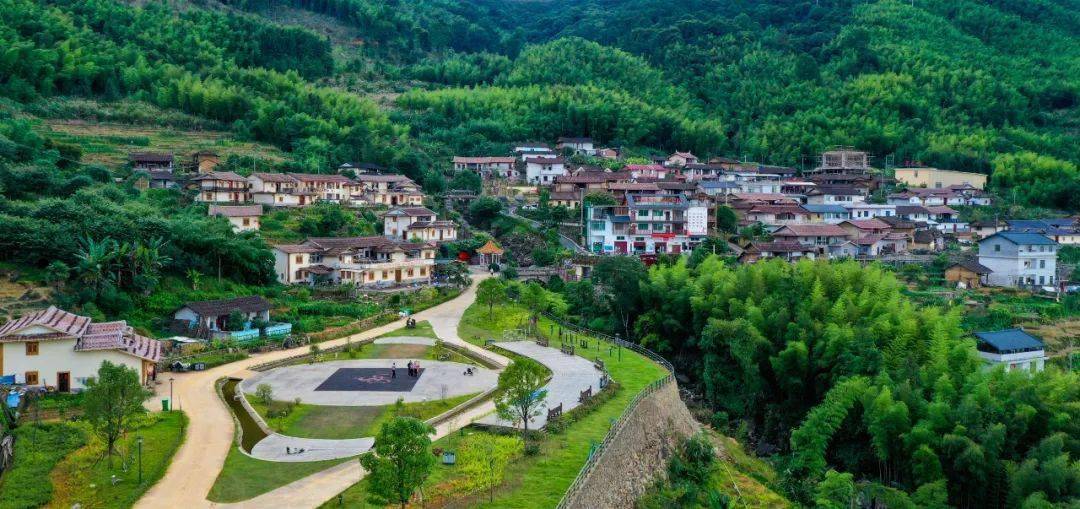 上春山品美味华安高石呛呛滚