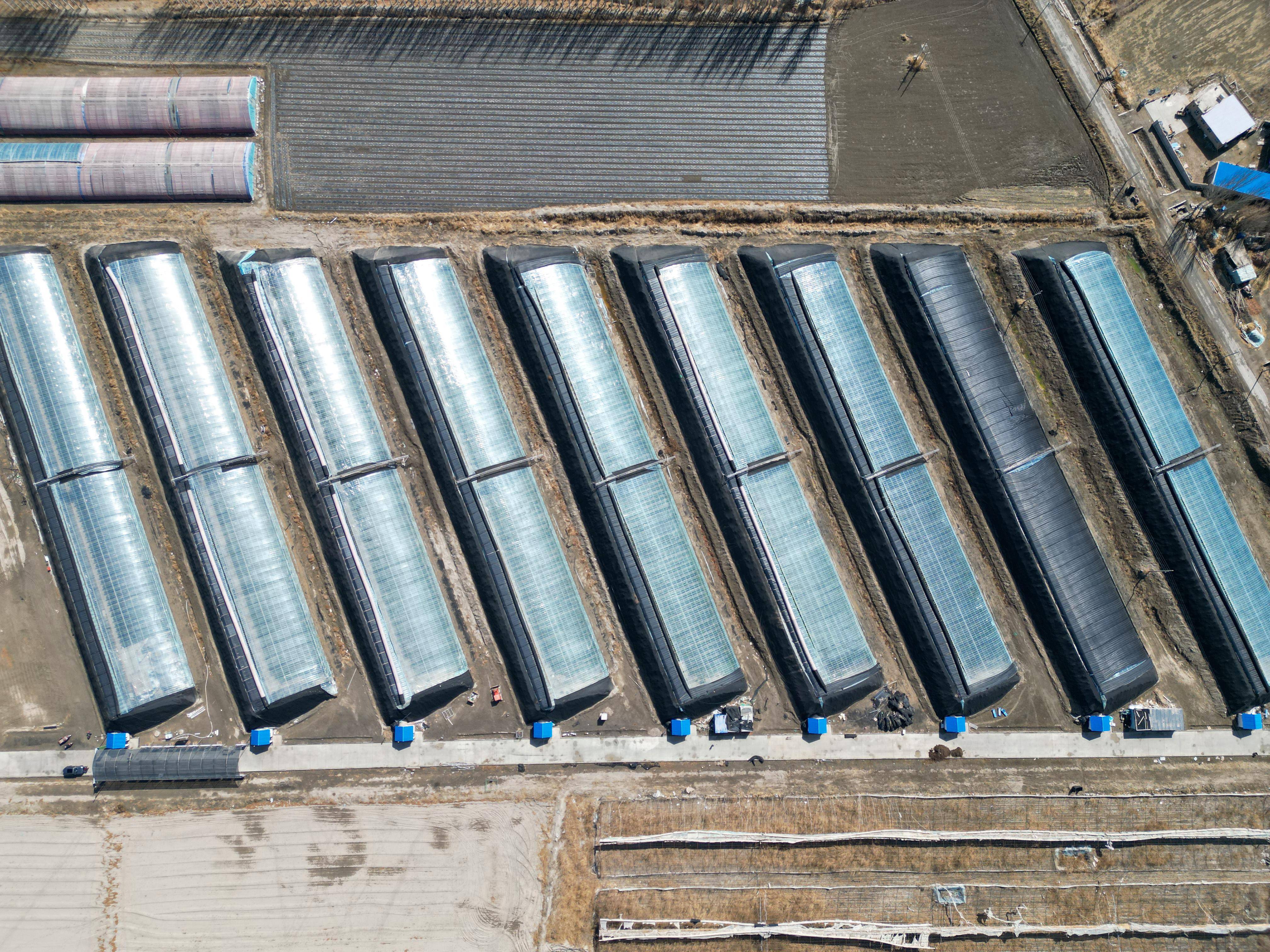 新疆博湖科技助力春日大棚喜收获