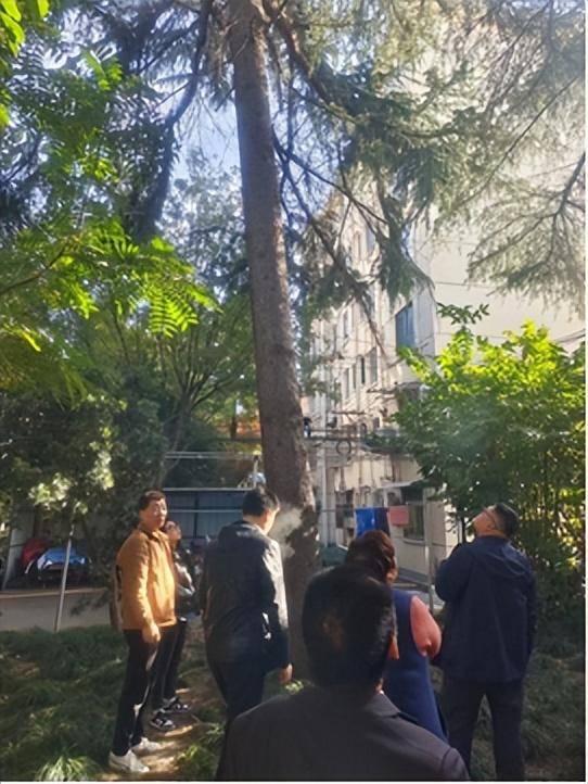 解民所忧老旧社区焕新颜