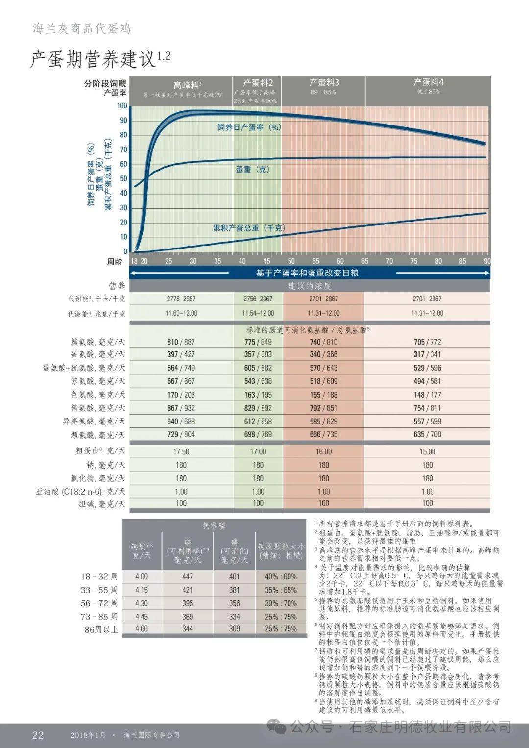 海兰灰蛋鸡产蛋率图片