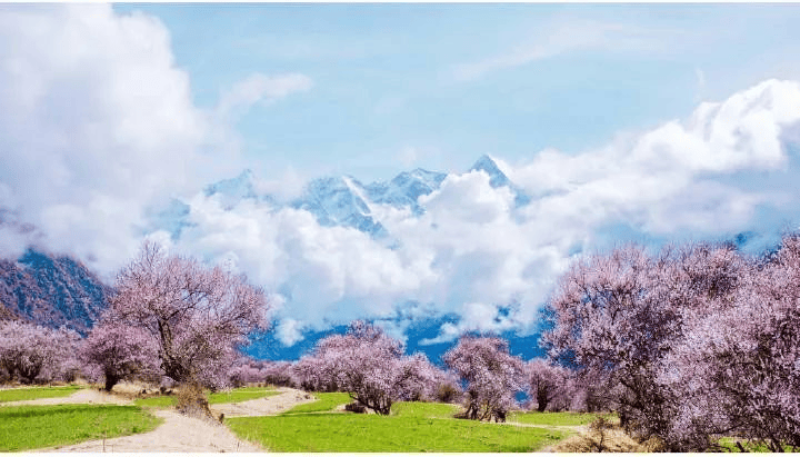 春季地理三月春意浓古诗词里的春究竟有多美春分里的气象科学