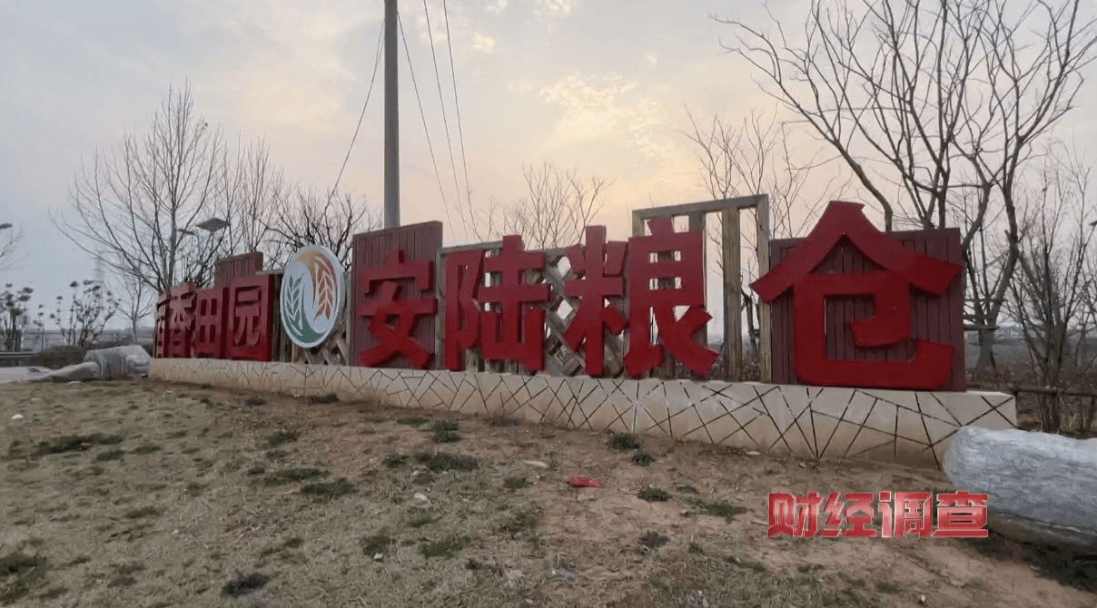 农田里长出光伏电站湖北部分光伏电站侵占大量基本农田高标准农田被偷