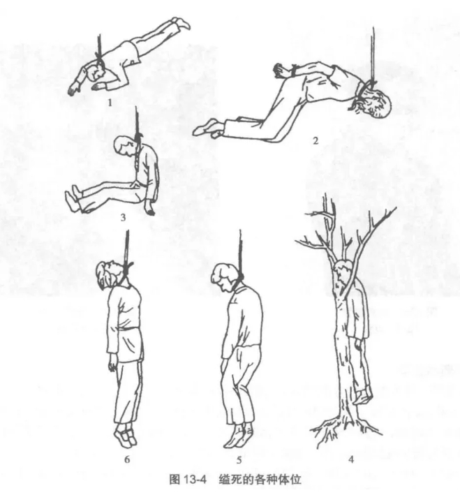 金边一外国男子在野地上吊自杀,死时双腿跪地