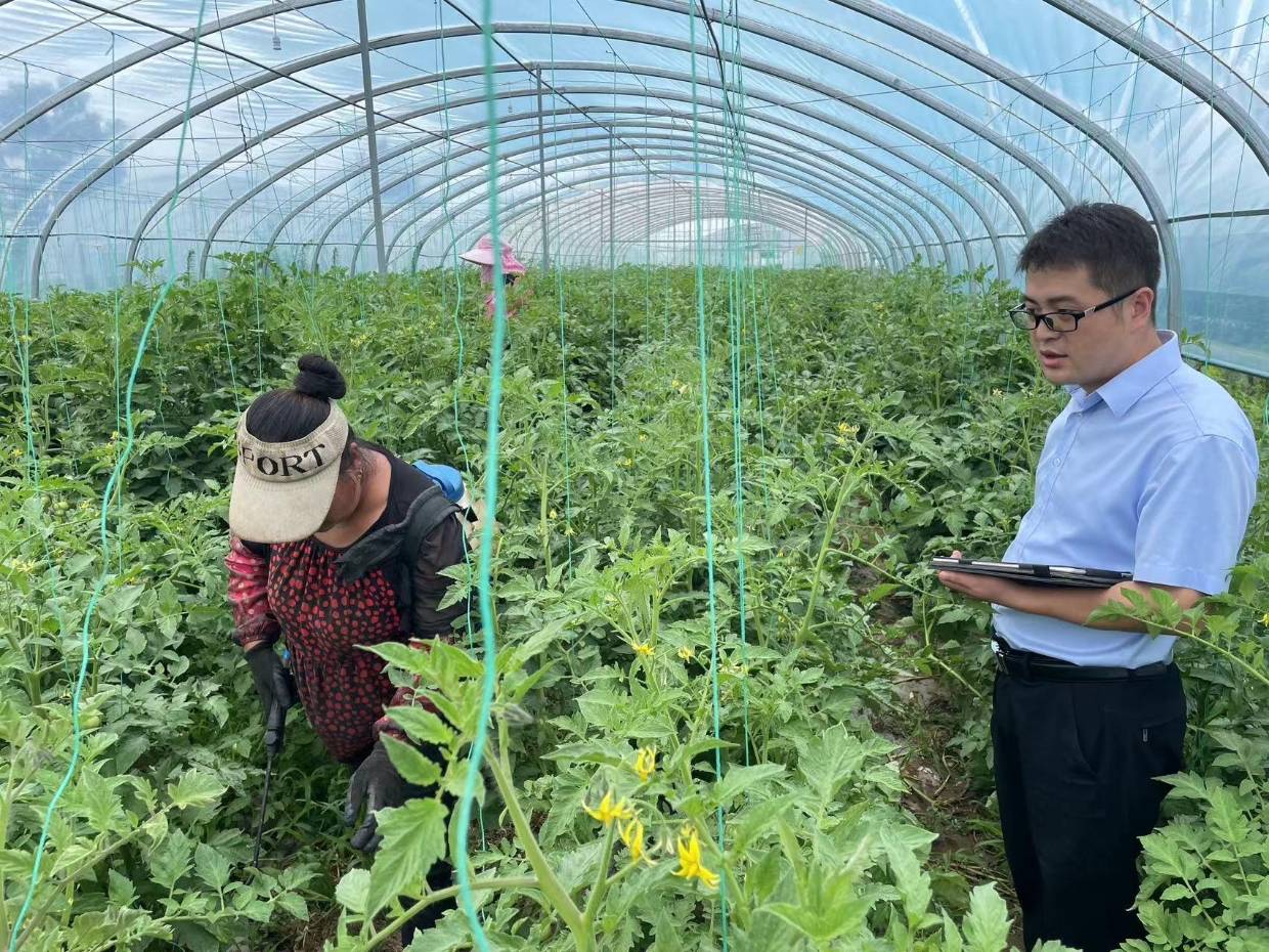 陕西农信武功联社：指尖生花·致敬芳华_活动_巴特_蝶骨