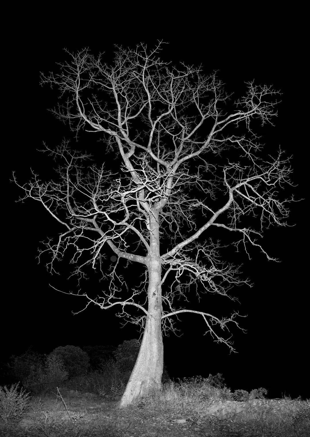 3,中国云南迪庆,2020年李季夜-黑林铺,中国云