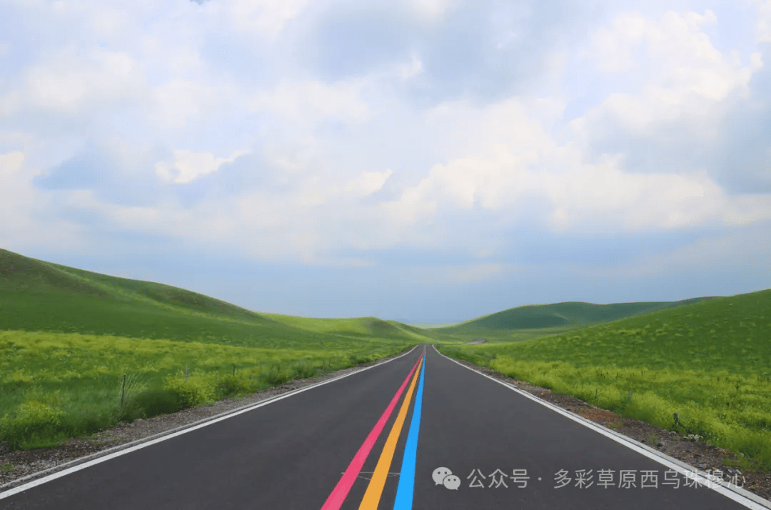 中国自驾游 | 自驾西乌旗99号公路,驰骋西乌珠穆沁草原,人间四月齐上