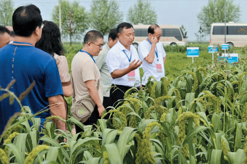 苏国平在农业产业园走访调研让小土豆变成"大金豆""2023年,五寨现代