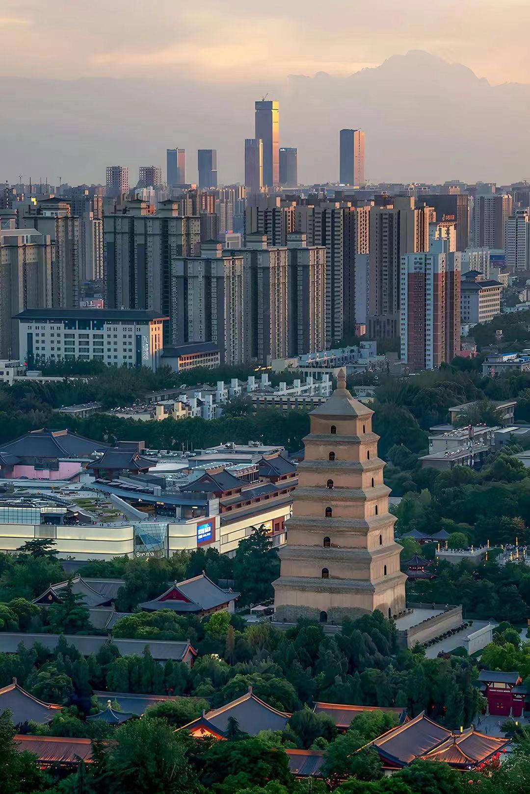 金螳螂丨生长的建筑城市更新语境下的高质量城长