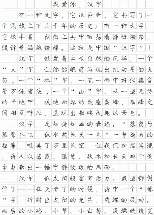 五年级语文下册第三单元习作《遨游汉字王国》范文