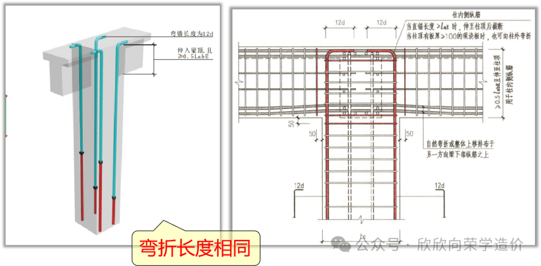 框架柱截面钢筋排布图图片