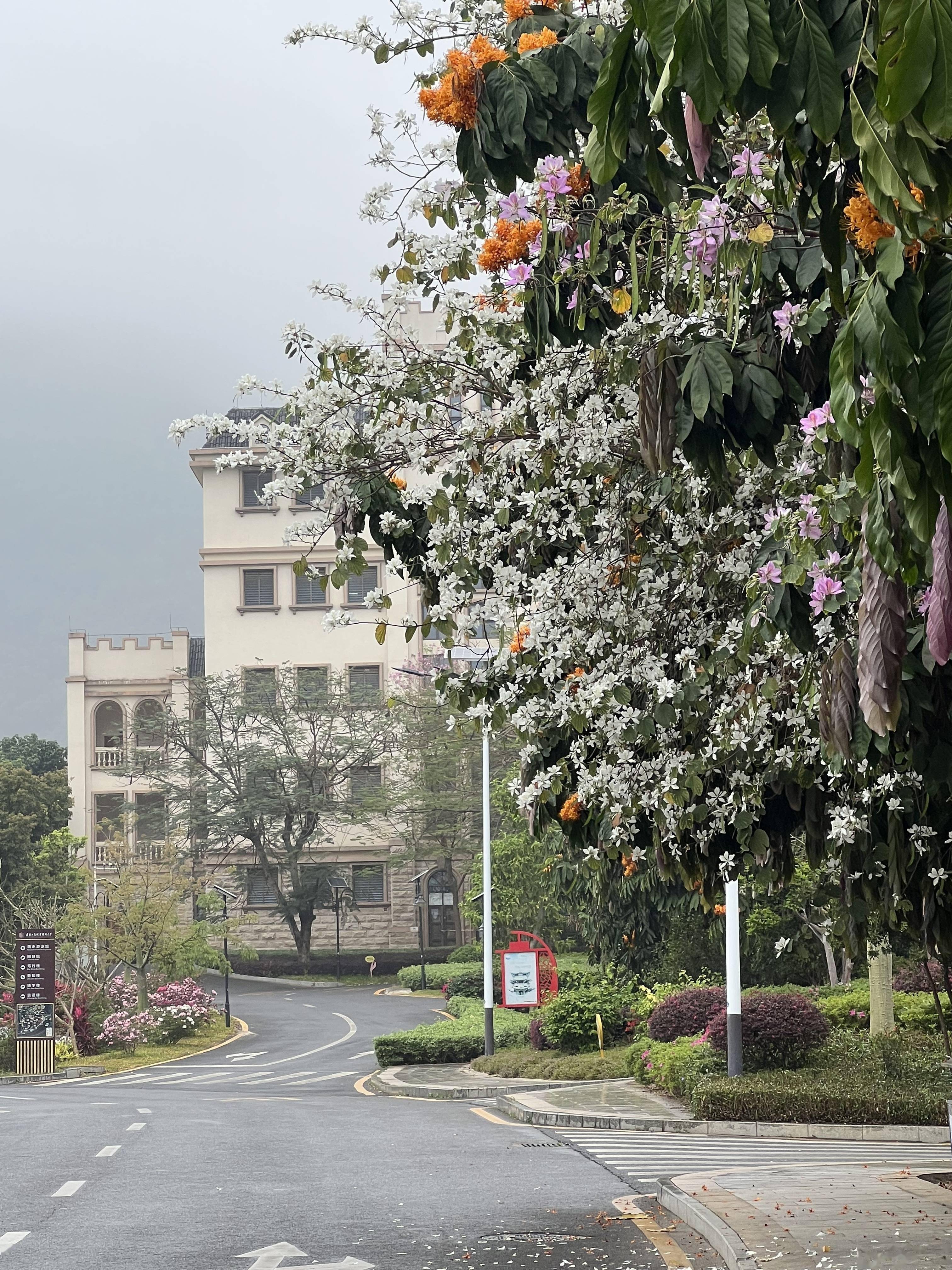 肇庆外语学院图片