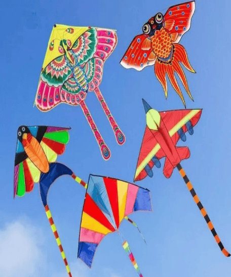 风筝 456_545