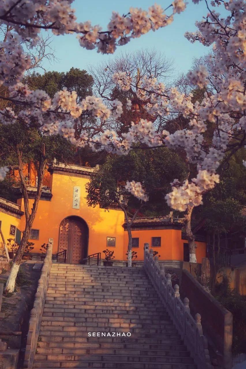 中国最美56个春天美到落泪