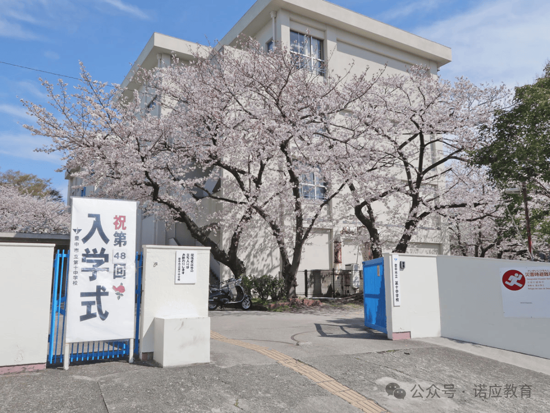 日本留学 | 日本的学校为什么是4月开学?_时间_樱花_教育