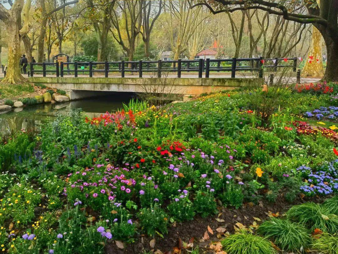 共青森林公园春日的花海盛宴即将拉开序幕现场探秘