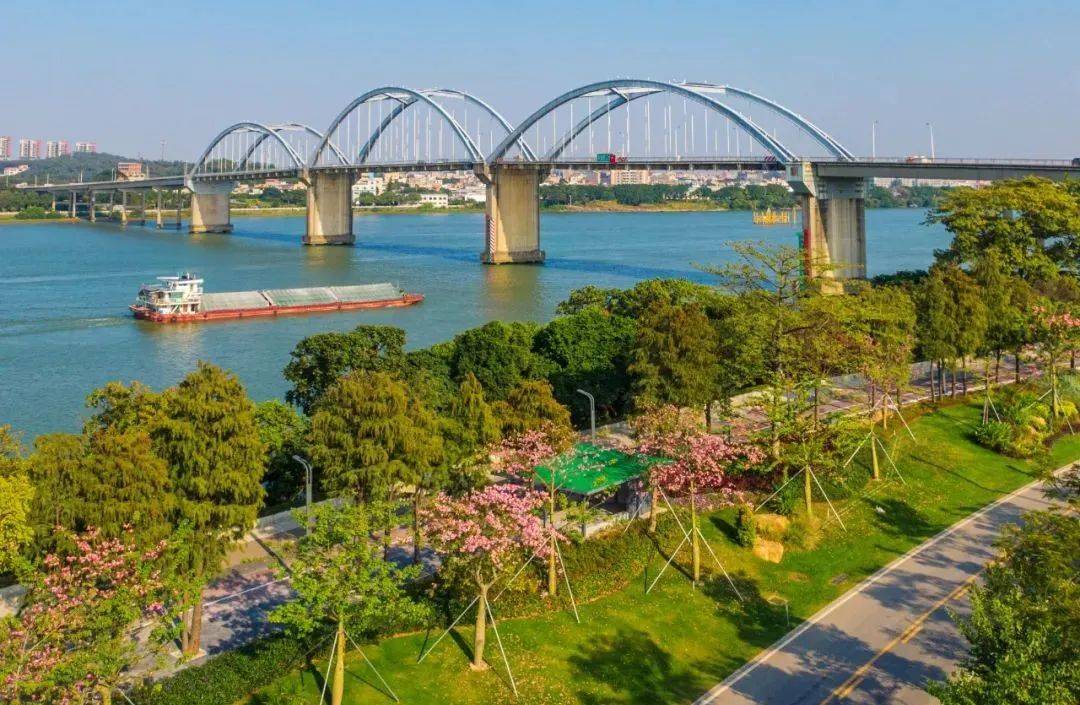 "稀客"来江门啦!欢迎"小精灵"~_中华_地区_自然保护区