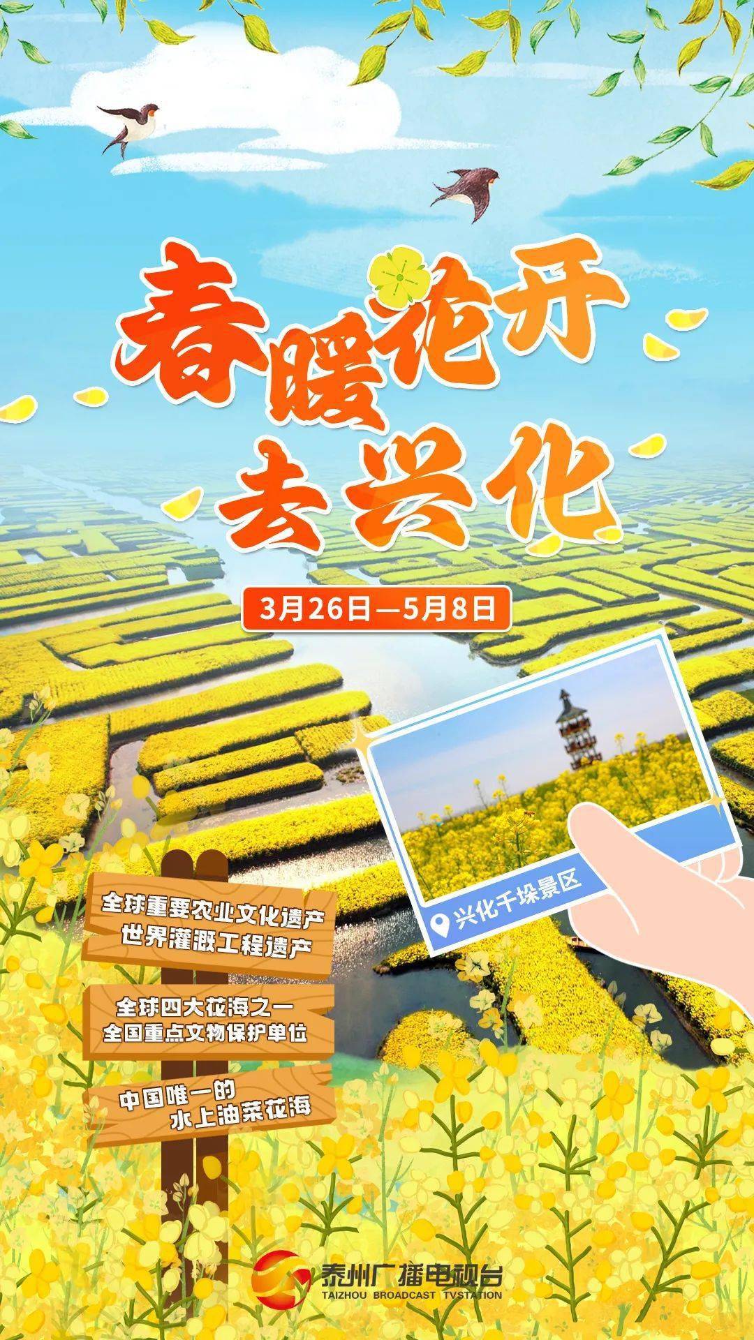 兴"花"怒放!_旅游_兴化_景区