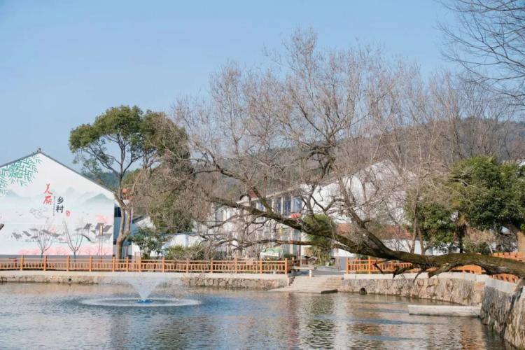 乡村振兴农业强农村美农民富无锡农村焕发勃勃生机