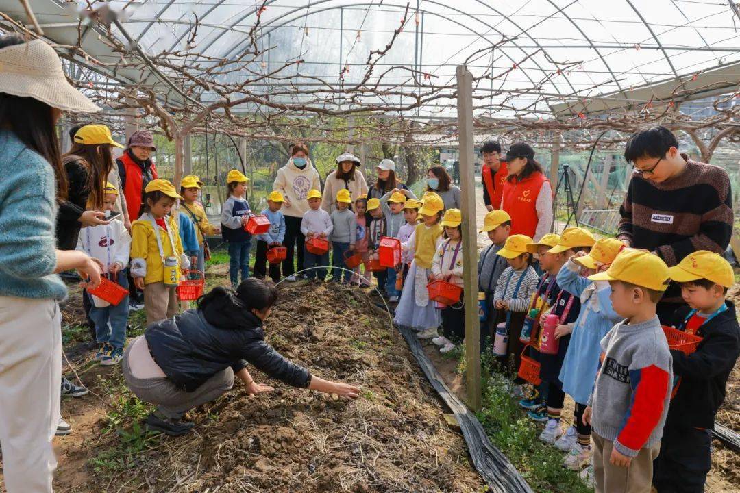 广垦热带农业公园研学图片