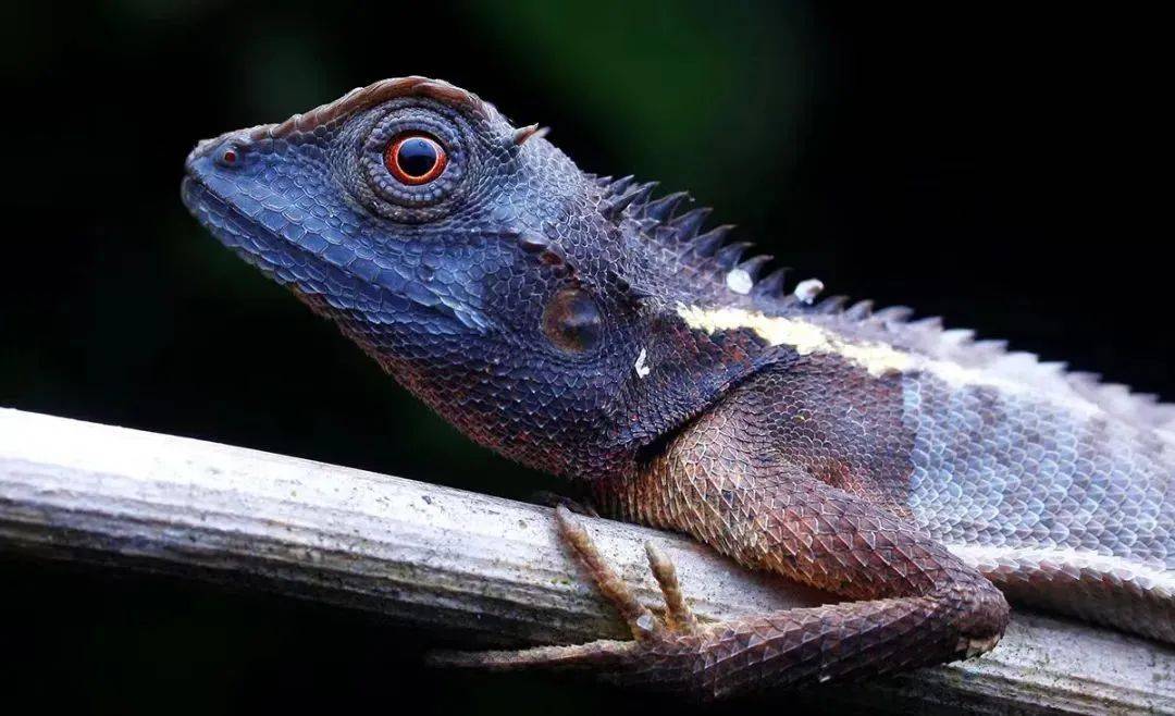 广西清明放假十一天打工人实名羡慕了