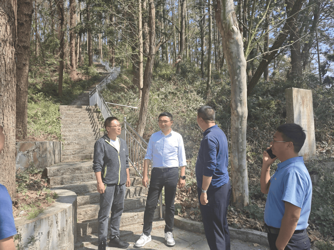 区政府副区长李博到青岩镇调研近期重点工作开展情况