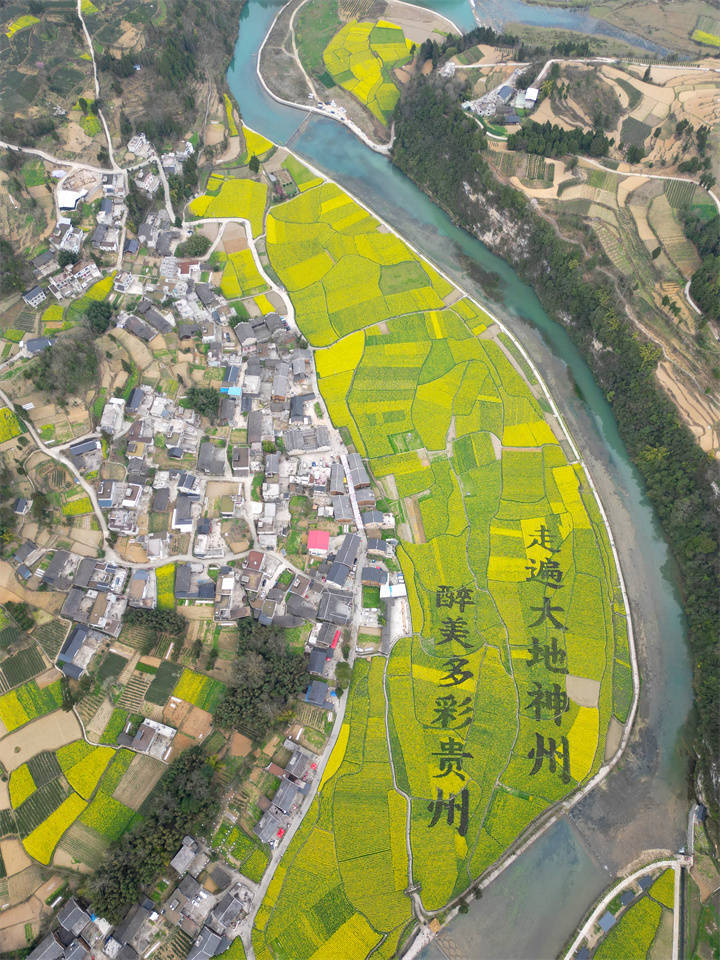 来贵州上春山徜徉斑斓花海