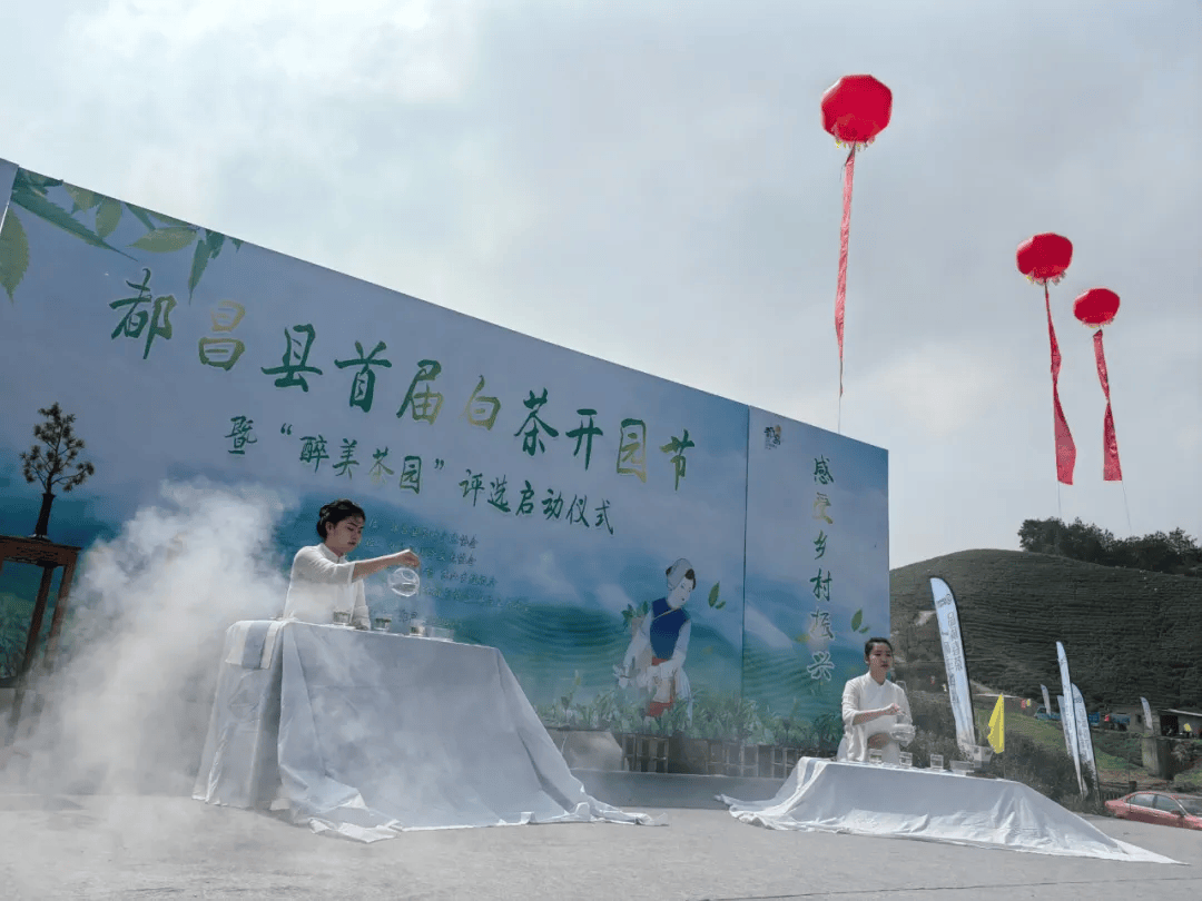 采茶,踏青,赏春光 都昌县首届白茶开园节开幕