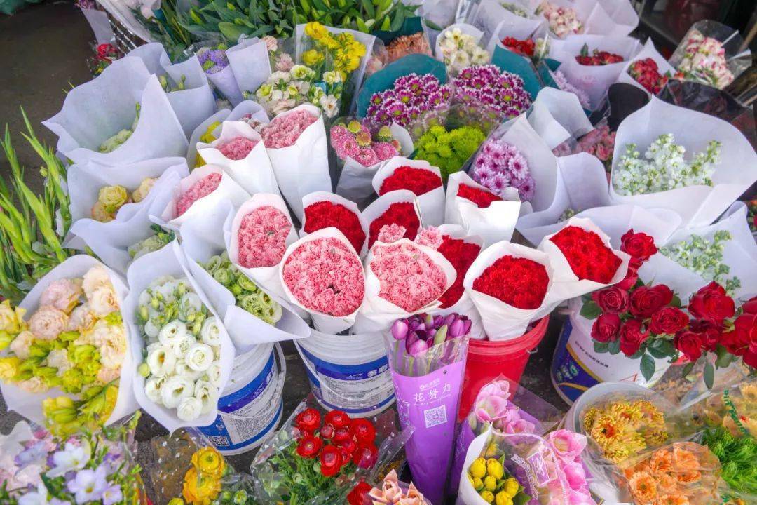 繁花闹春日,小鲜花有大市场丨小城记_花卉_销售_玫瑰